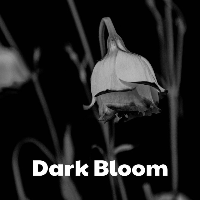 Dark Bloom cover