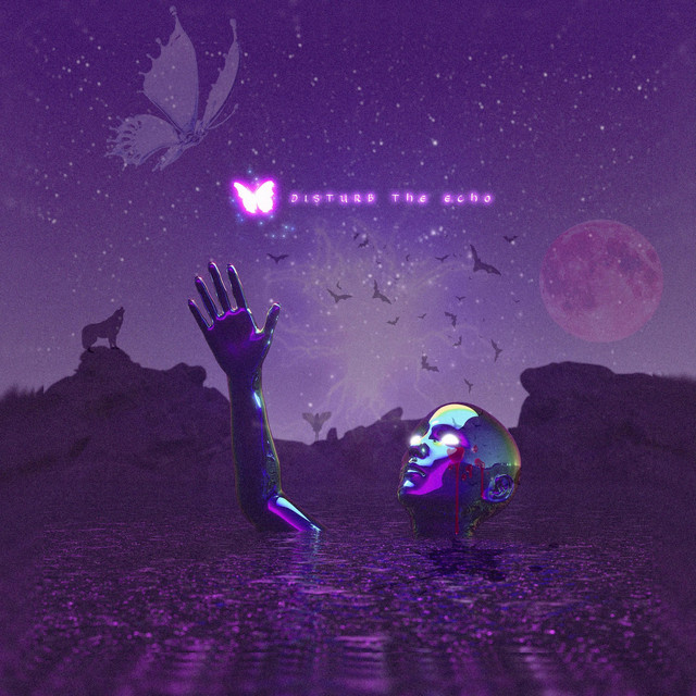 Disturb The Echo cover art