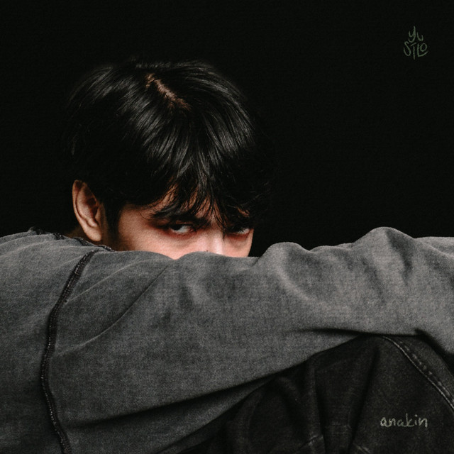 Anakin cover art