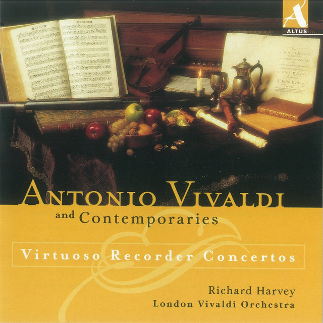 Recorder Concerto in C Minor, RV 441: I. Allegro non molto