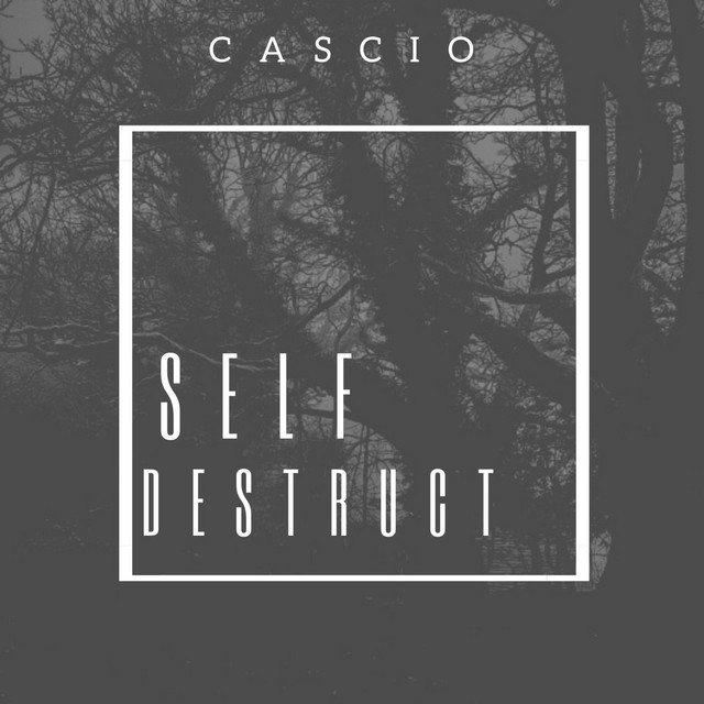 Self Destruct cover art