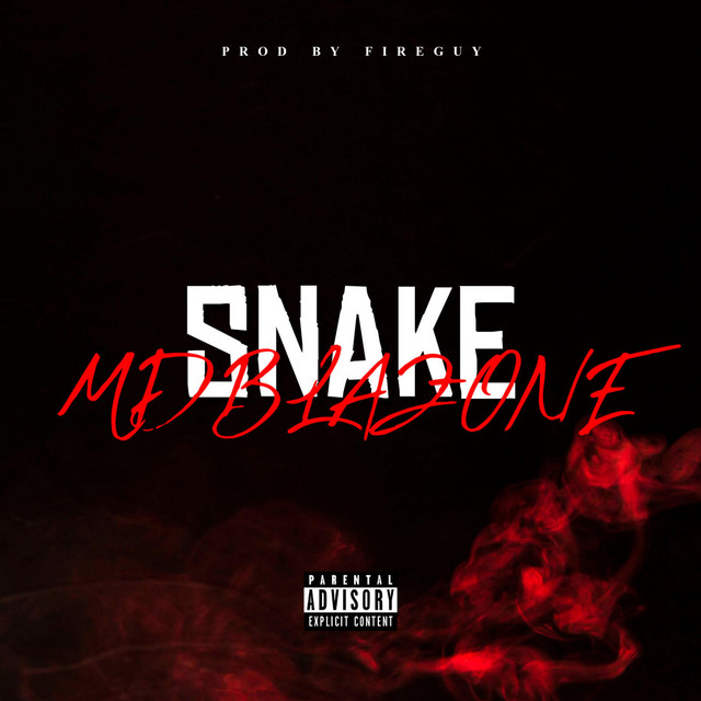 SNAKE cover art
