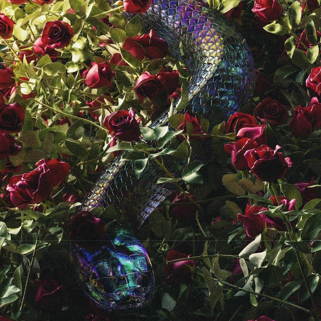 O'discordia cover art
