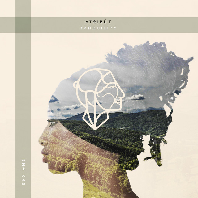 Tanquility cover