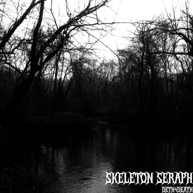 Skeleton Seraph cover art