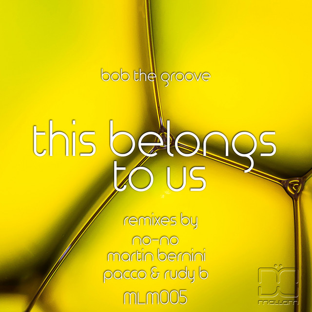 This Belongs to Us cover art