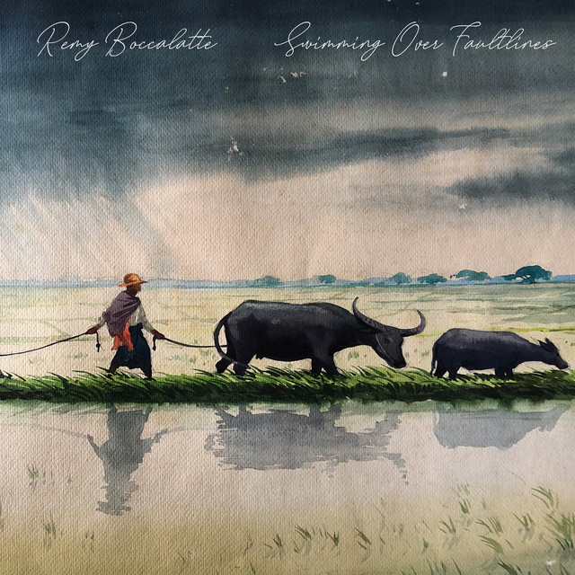 Swimming Over Faultlines cover art