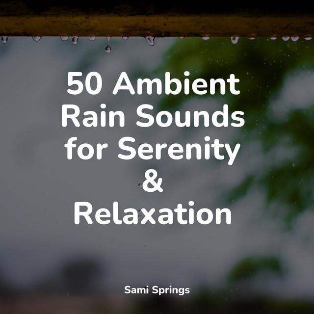 50 Ambient Rain Sounds for Serenity & Relaxation - Album by Relaxing ...