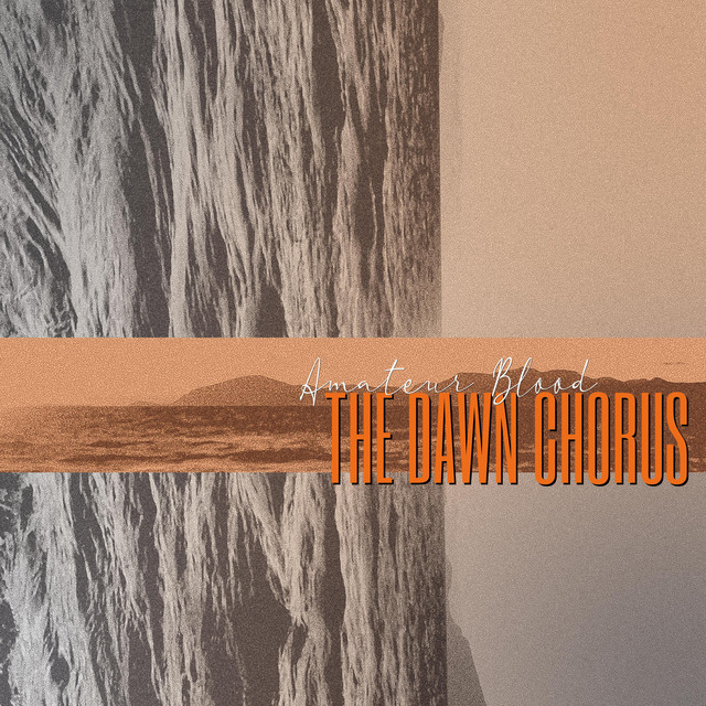 The Dawn Chorus