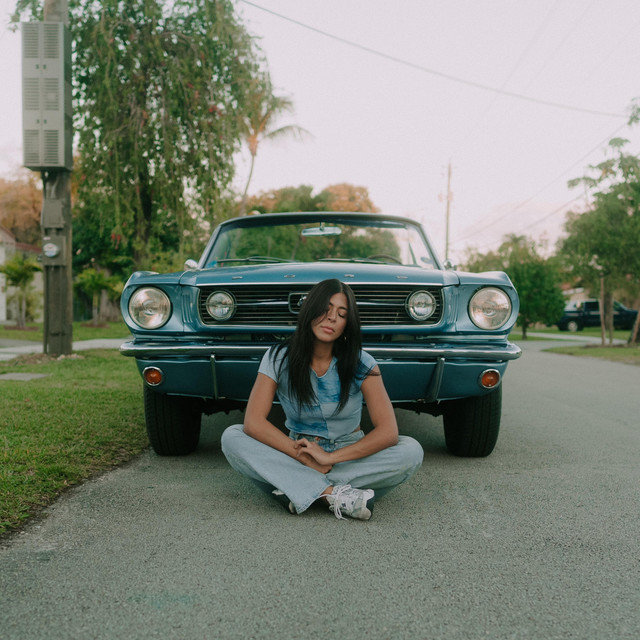 Temporary cover art