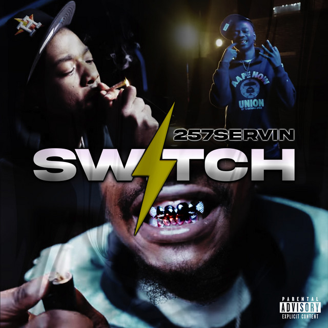 Switch cover art