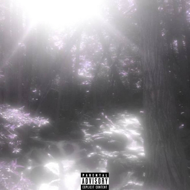 Обкладинка: recognize — splassheedd