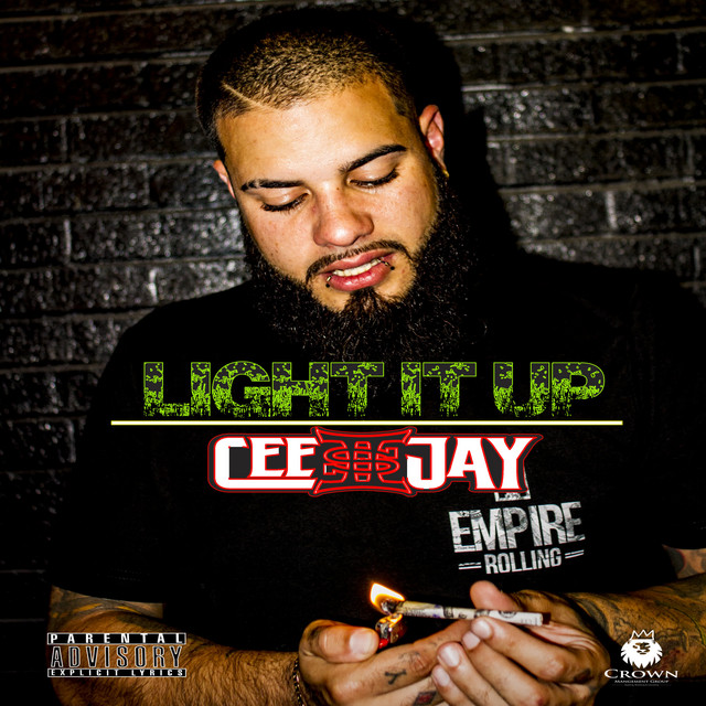 Light It Up - Single by CeeJay | Spotify