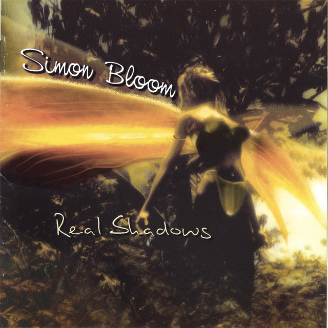 Real Shadows cover art