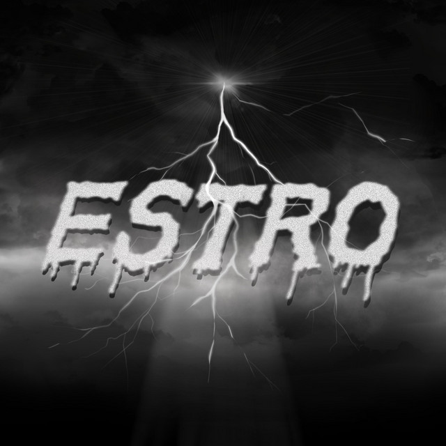 ESTRO cover art