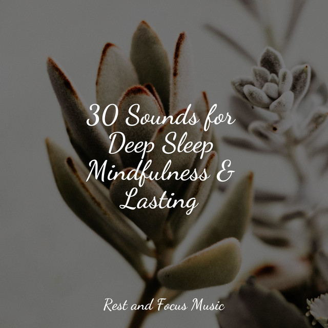 30 Sounds for Deep Sleep Mindfulness & Lasting - Album by Massage | Spotify
