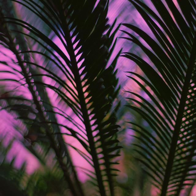 Soothing Collection | Sleep cover art