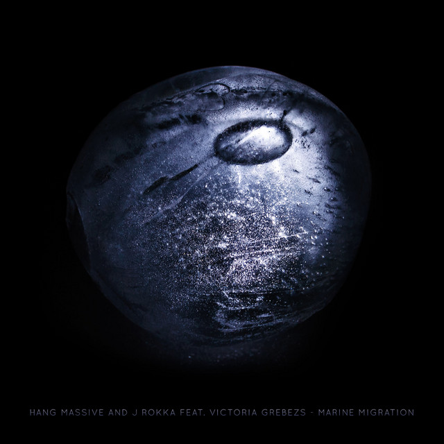 Marine Migration cover art
