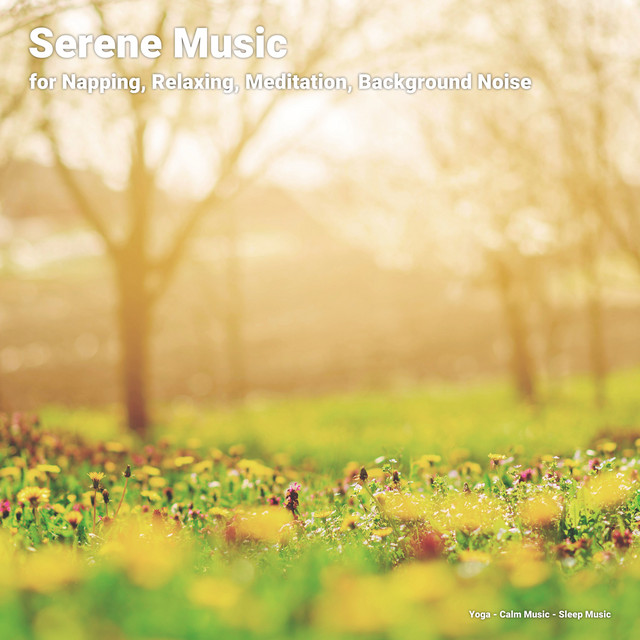 Serene Music for Napping, Relaxing, Meditation, Background Noise cover art