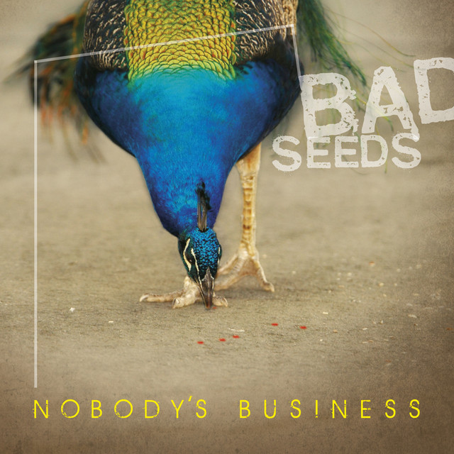 Nobody's Business Concert & Tour History | Concert Archives