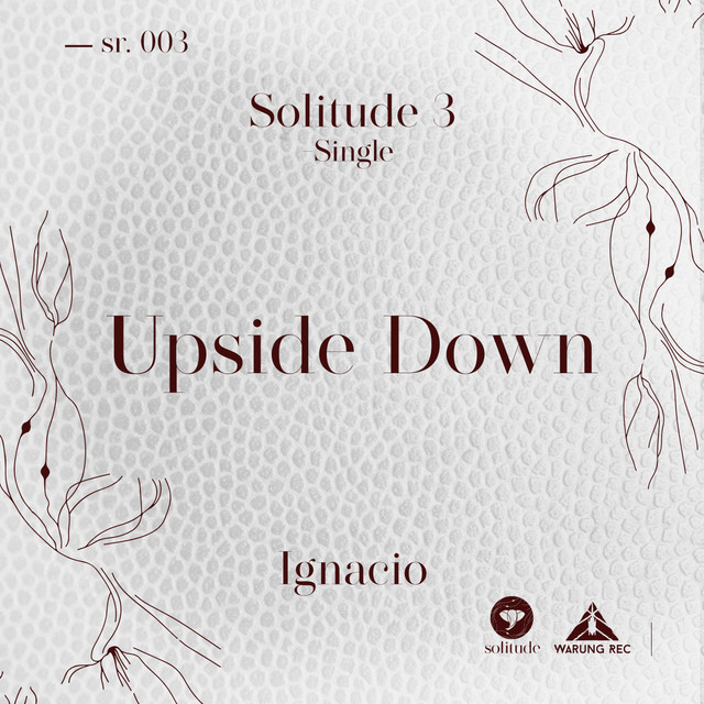 Upside Down cover art