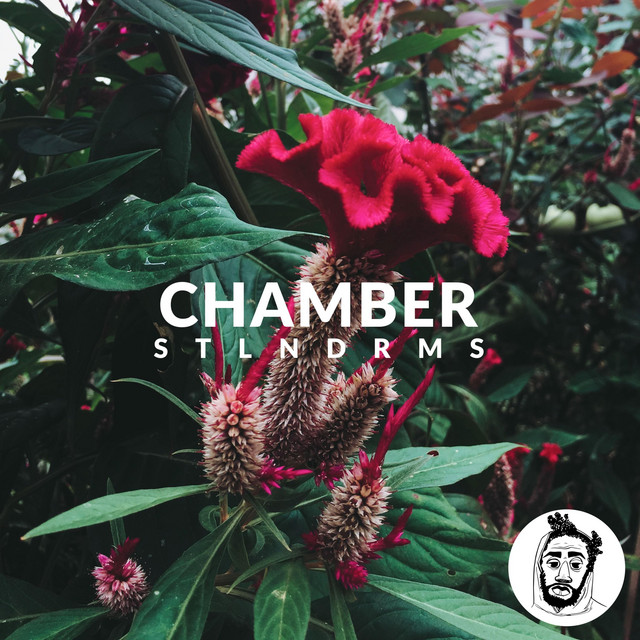 Chamber cover