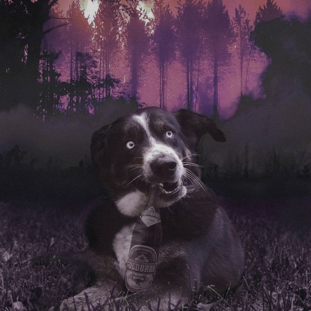állapot cover art