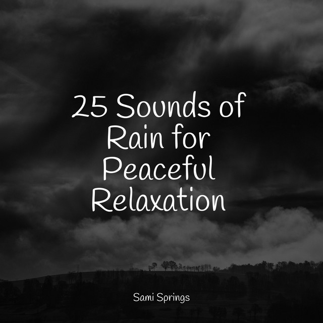 25 Sounds of Rain for Peaceful Relaxation - Album by Classical Study ...