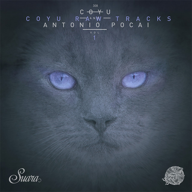 Transportador - Coyu Raw Mix
