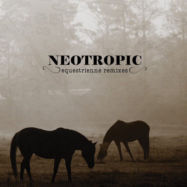 Equestrienne (Remixes) cover art