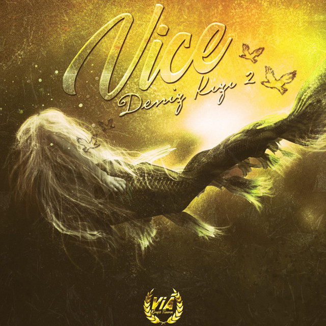 Deniz Kızı 2 cover art