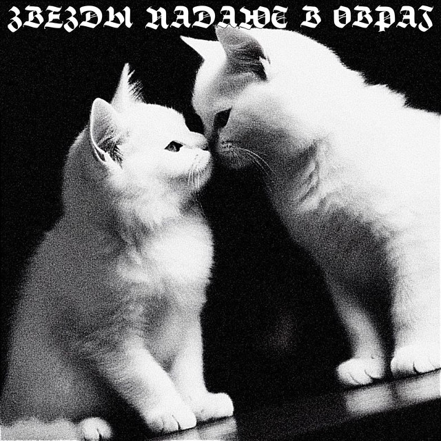 звезды падают в овраг