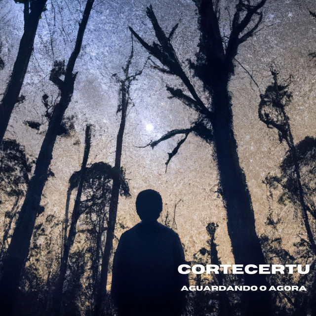 Aguardando o agora cover art