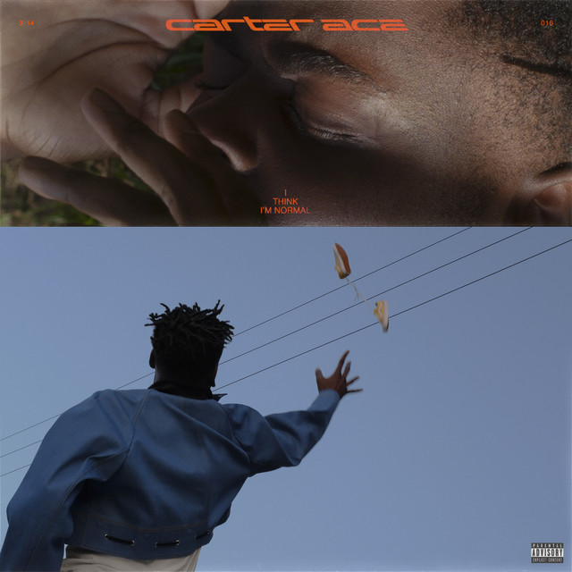 I Think I'm Normal cover art
