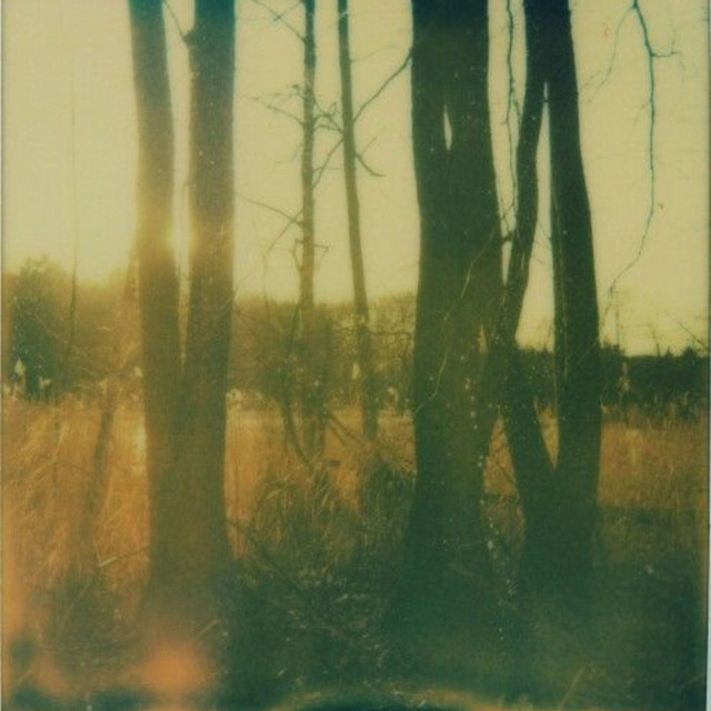 A Day We Almost Remember cover
