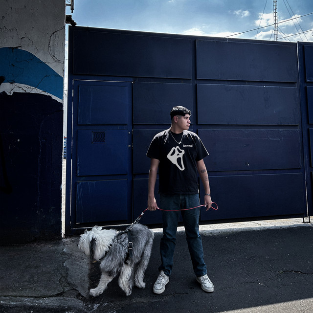 Amores, Perros. cover art