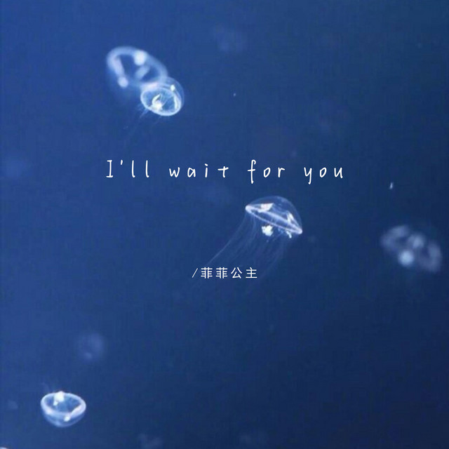 I'll wait for you cover art