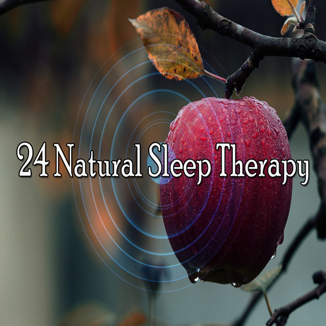 24 Natural Sleep Therapy - Album by Nature Sounds Nature Music | Spotify