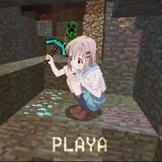 Cover art: PLAYA — VIIG