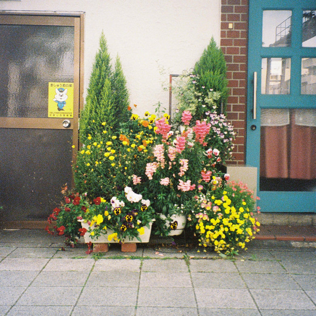 this was eden cover art