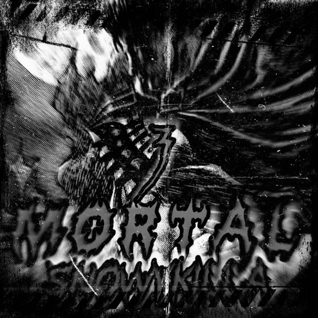 Обкладинка: MORTAL 3 — SnowYkilla