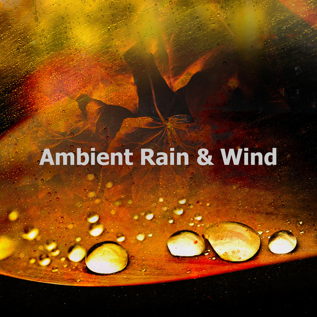 Ambient Rain & Wind cover art
