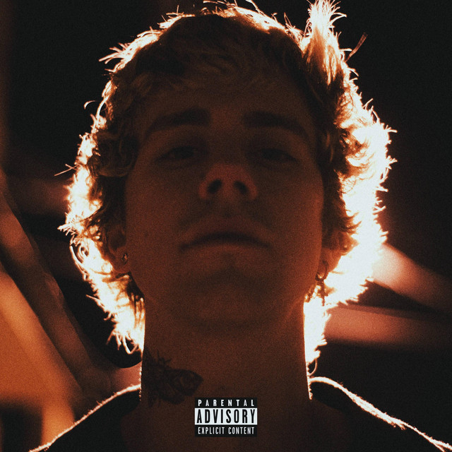 Into The Dark cover art