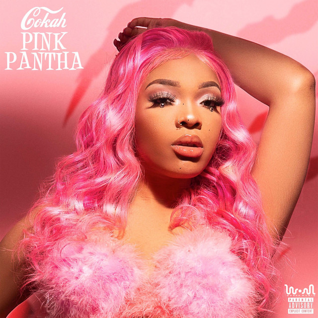 Pink Pantha cover art