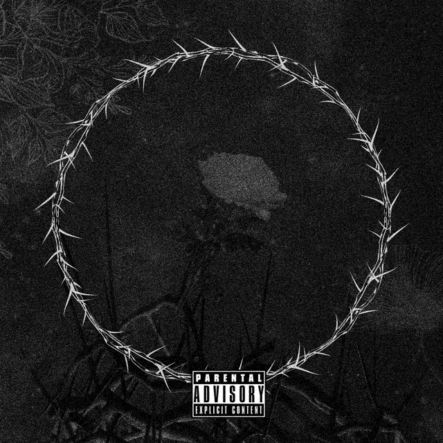 No life cover art