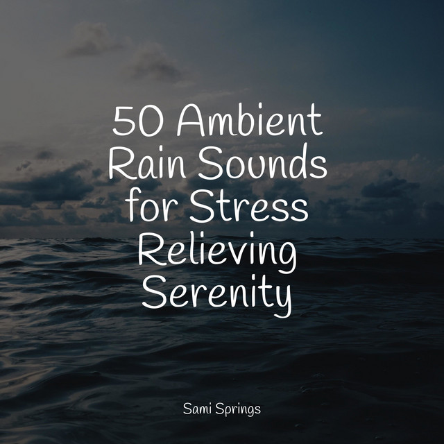 50 Ambient Rain Sounds for Stress Relieving Serenity - Album by Zen ...