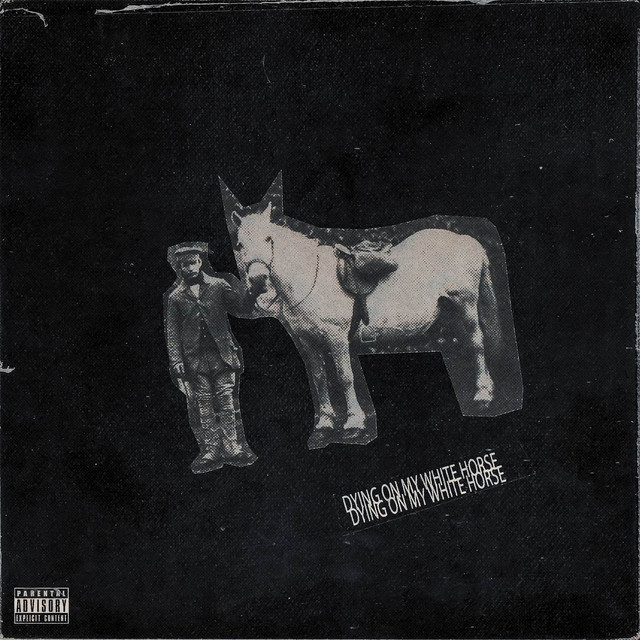 Dyingonmywhitehorse