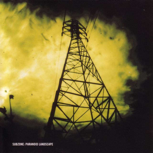 Paranoid Landscape cover