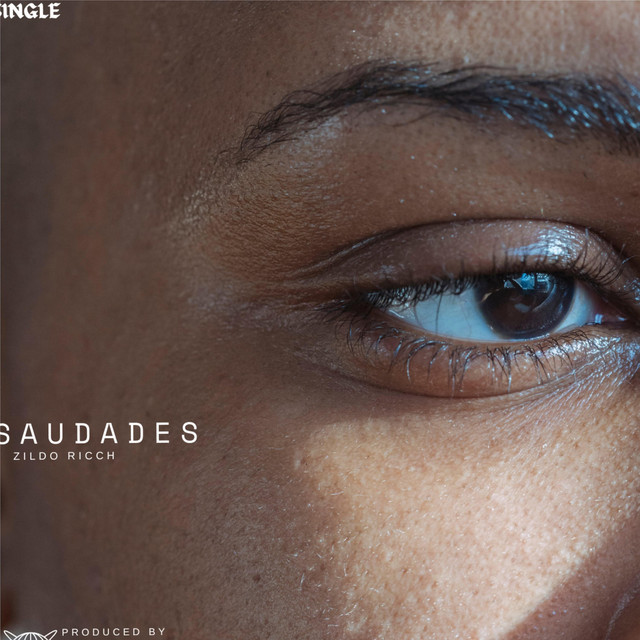 Saudades, Pt. 1 - Single by Zildo Ricch | Spotify