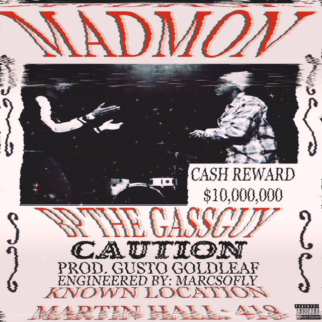 MadMon cover art